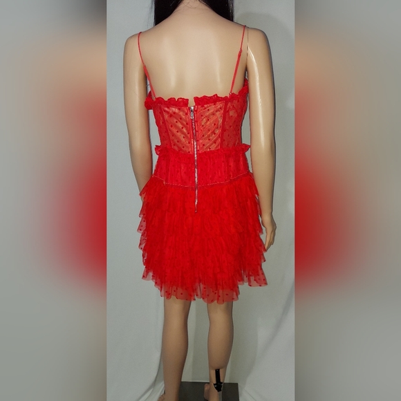 For Love And Lemons Scarlet Lace Dress - Picture 4 of 5